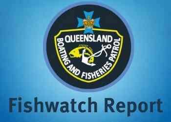 fishwatch hotline qld.